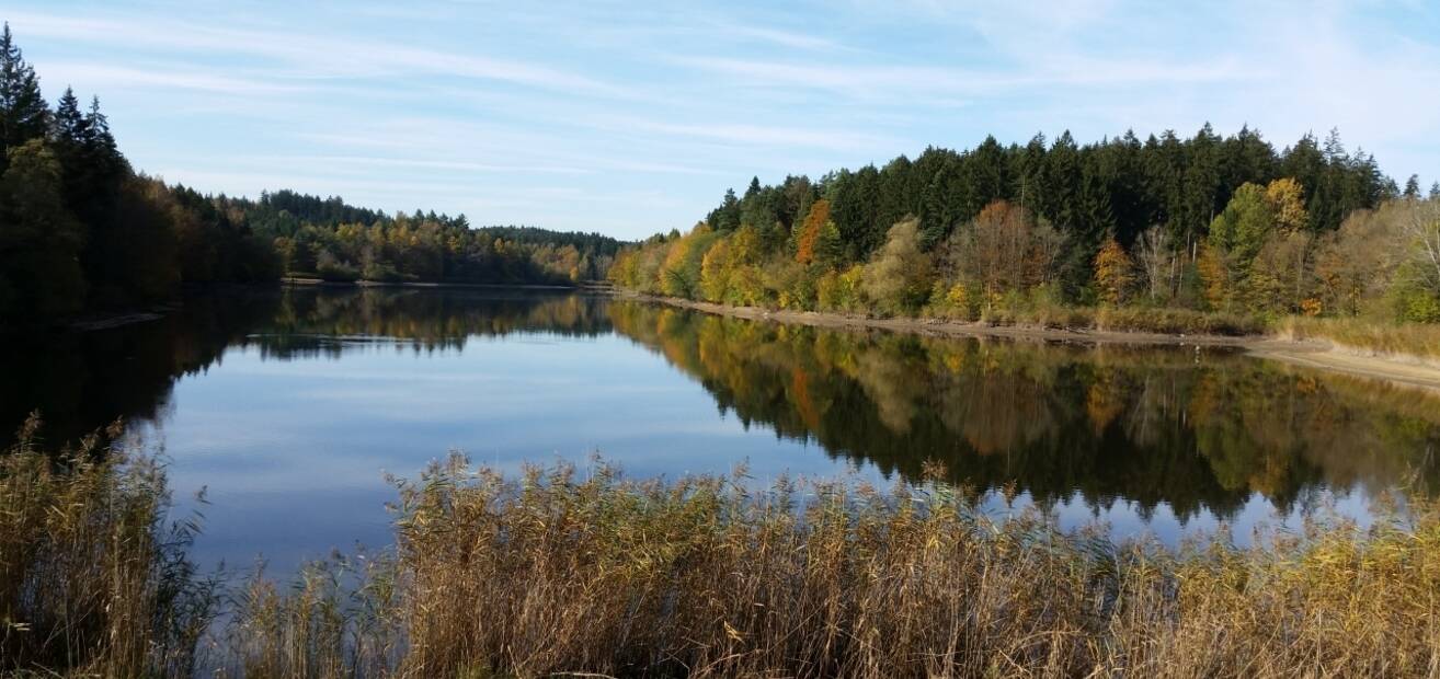 Regionalvermarkter