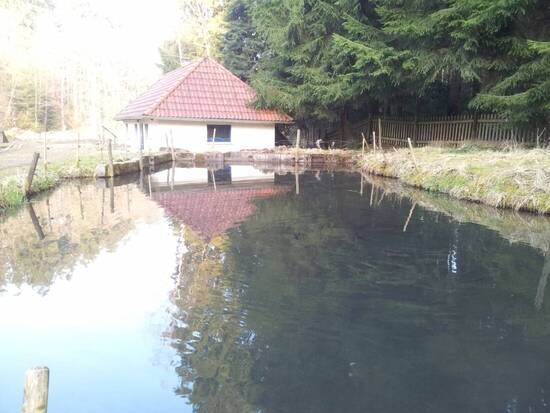 Forellenhof am Orrotsee
