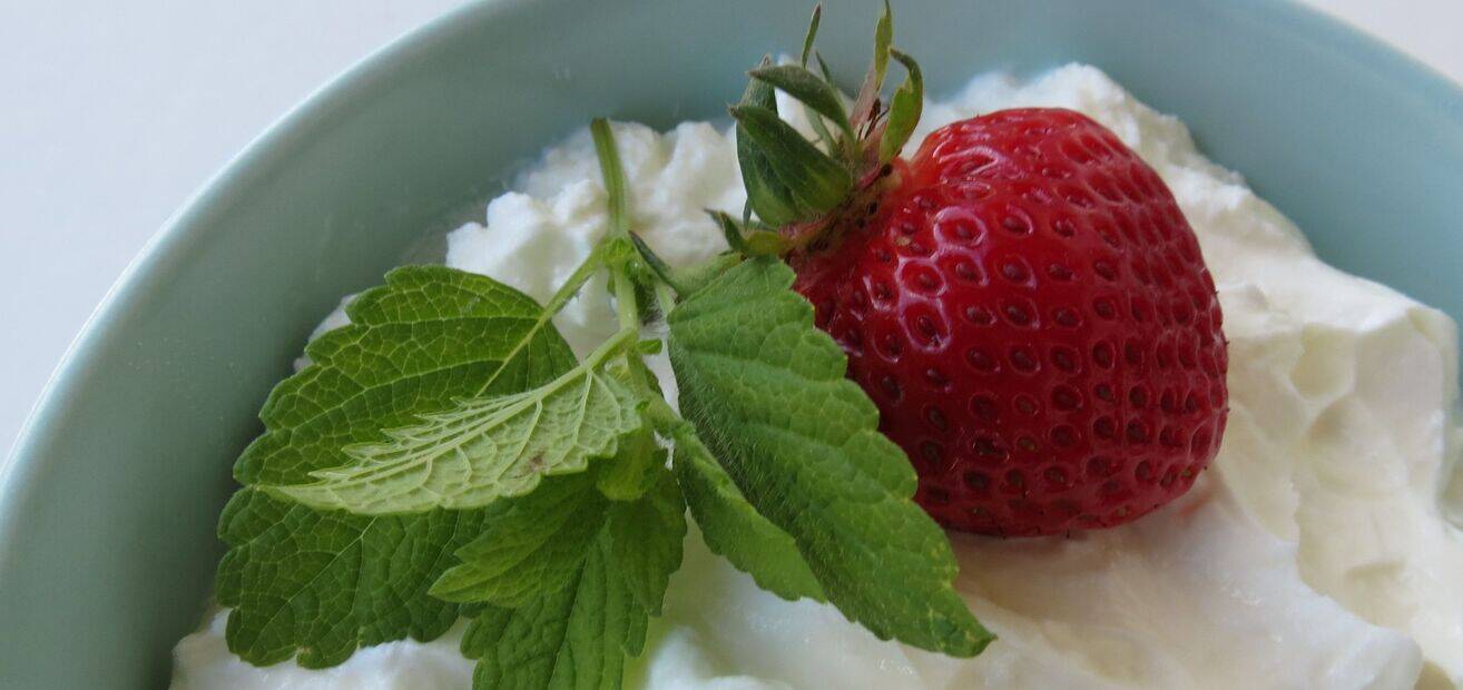 Cremes, Pudding und Eis