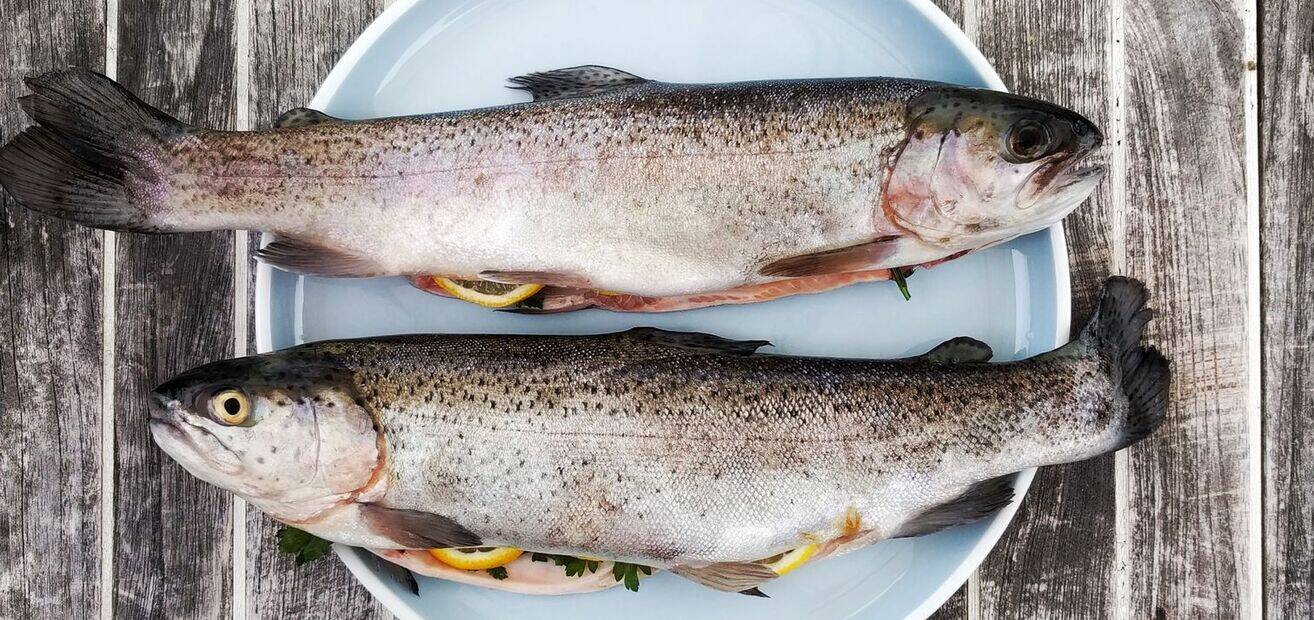 Fisch