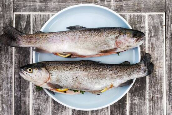 Fisch